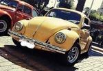 Volkswagen Escarabajo Betlee